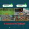 Amaravati: Visionary Dream or Practical Reality? – Real Talks